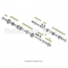 Beta EVO300 18 Getriebe