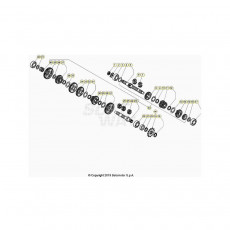 Beta EVO300 2T 22 Getriebe