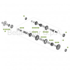 Beta EVO300 4T 19 Getriebe