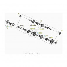 Beta EVO300 4T 22 Getriebe