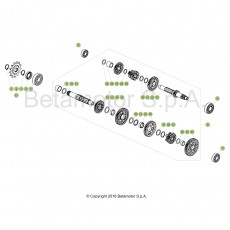 Beta EVO300 Factory 4T 17 Getriebe