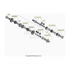Beta EVO300 SS 24 Getriebe