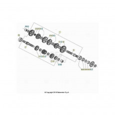 Beta EVO80 Senior 23 Getriebe