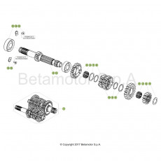 Beta RR125 19 Getriebe 1