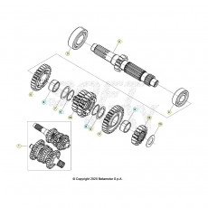 Beta RR250 26 Getriebe 1