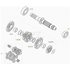 Beta RR250 20 Getriebe 1