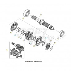 Beta RR300 26 Getriebe 1