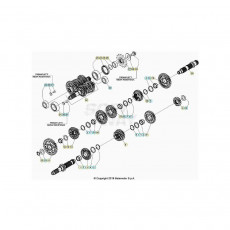 Beta RR430RC 21 4T Getriebe