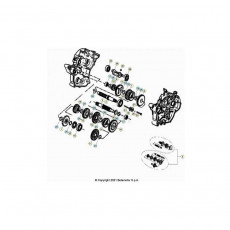 Beta RR50 Street Sport 21 Getriebe