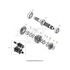 Beta RX300 25 Getriebe 1