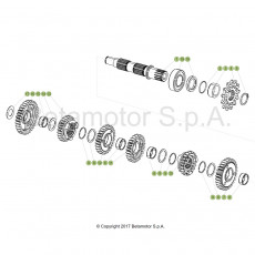 Beta RR125 19 Getriebe 2