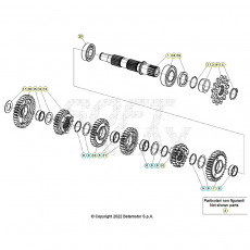 Beta RR200RC 26 Getriebe 2