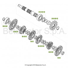 Beta RR250 19 Getriebe 2