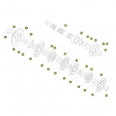 Beta RR250 2T Racing 16 Getriebe 2