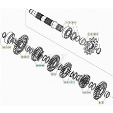 Beta RR250RC 20 Getriebe 2
