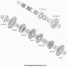 Beta RR250 20 Getriebe 2