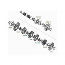 Beta RR300 25 Getriebe 2