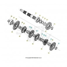 Beta RR300RC 26 Getriebe 2