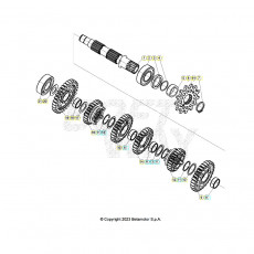 Beta Xtrainer250 25 Getriebe 2