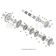 Beta Xtrainer300 18 Getriebe 2