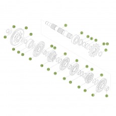 Beta RR250 16 Getriebe 2