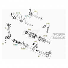 Beta EVO300 4T 20 Schaltung