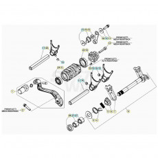 Beta RR125RC 20 Schaltung