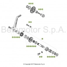 Beta EVO300 SS 18 Kickstarter