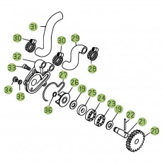 Beta EVO300 19 Kühlsystem