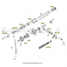 Beta RR250RC 19 Kühlsystem