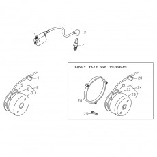 Beta EVO250 10 Zündanlage