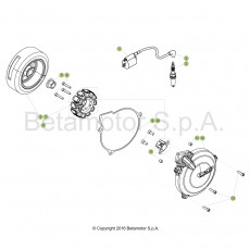 Beta EVO300 SS 19 Zündanlage