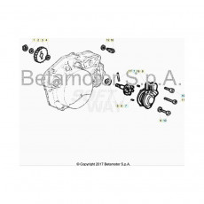 Beta RR50 19 Kühlsystem