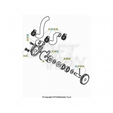 Beta EVO200 Factory 21 Kühlsystem