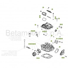 Beta EVO250 4T 17 Zylinder/Zylinderkopf/Ventiltrieb 1