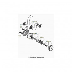 Beta  EVO250 Factory 21 Kühlsystem