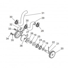 Beta EVO250 16 Kühlsystem