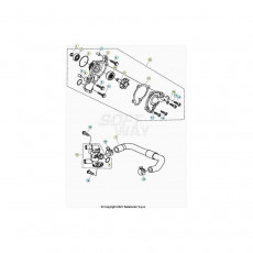 Beta RR125 LC R 24 Kühlsystem