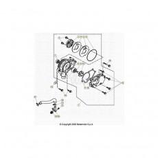 Beta RR125 LC 4T 20 Kühlsystem