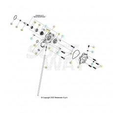 Beta RR125 LC T 24 Kühlsystem