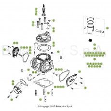Beta RR250 19 Zylinder/Zylinderkopf/Ventiltrieb
