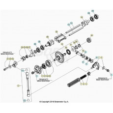 Beta RR250RC 20 Kühlsystem