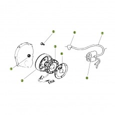 Beta RR50 Standard 10/11 Zündanlage