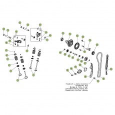 Beta EVO250 4T 18 Zylinder/Zylinderkopf/Ventiltrieb 2