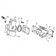 Beta EVO250 11 Vergaser 1