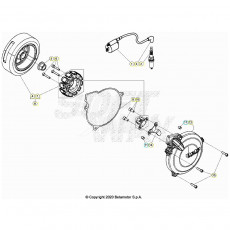 Beta EVO200 Factory 21 Zündanlage