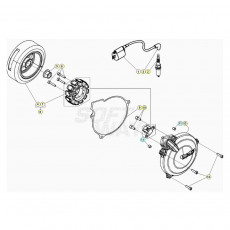 Beta EVO250 20 Zündanlage