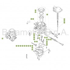 Beta EVO250 4T 17 Vergaser