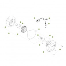 Beta EVO250 Factory 15 Zündanlage