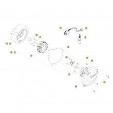 Beta EVO250 Factory 16 Zündanlage